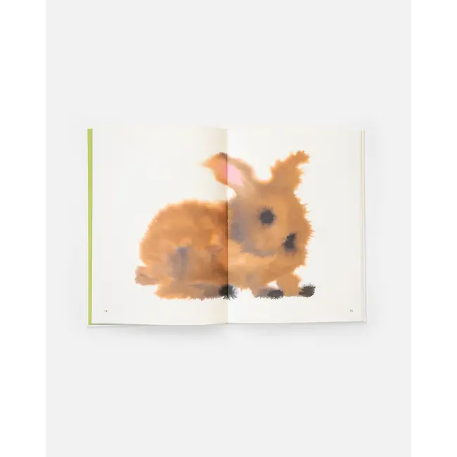 Wild Animals Wild Animals Book