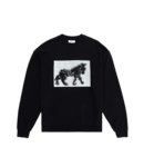 Wild Animals Zebra Tiger Sweater