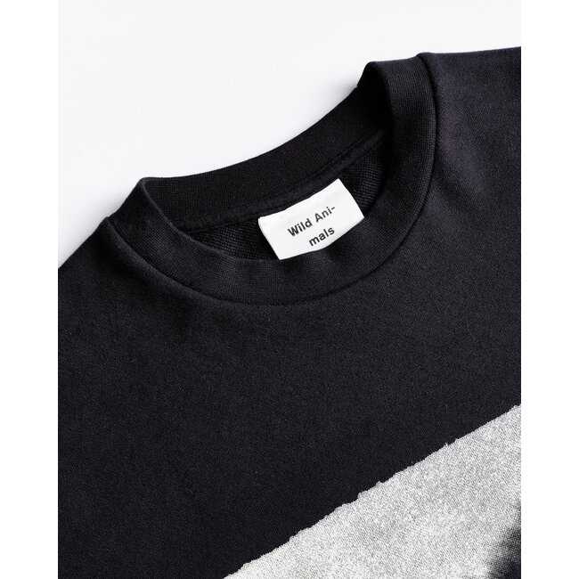 Wild Animals Zebra Tiger Sweater