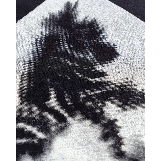 Wild Animals Zebra Tiger Sweater