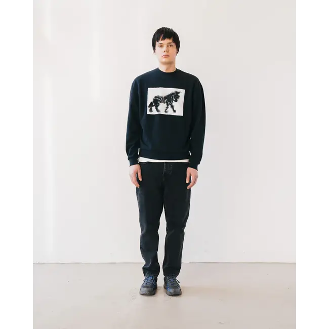 Wild Animals Zebra Tiger Sweater