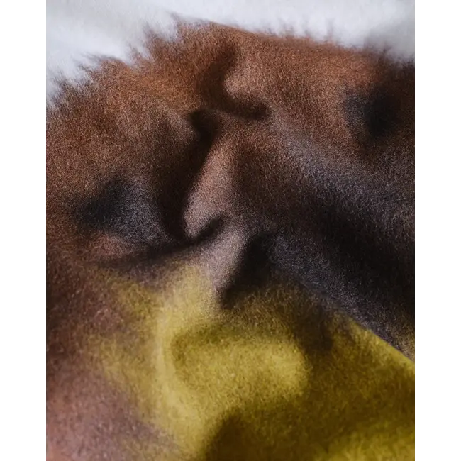 Wild Animals Walrus T-Shirt Longsleeve