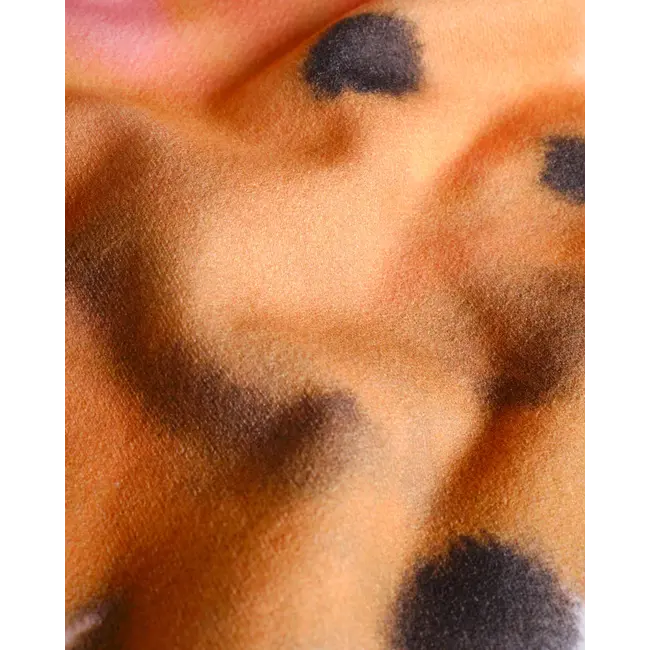 Wild Animals Rabbit Logo Sweater