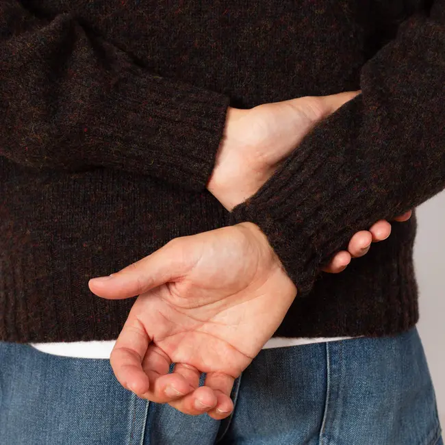 Howlin' Birth of The Cool - Wolf