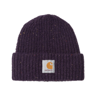 Carhartt WIP Anglistic Beanie