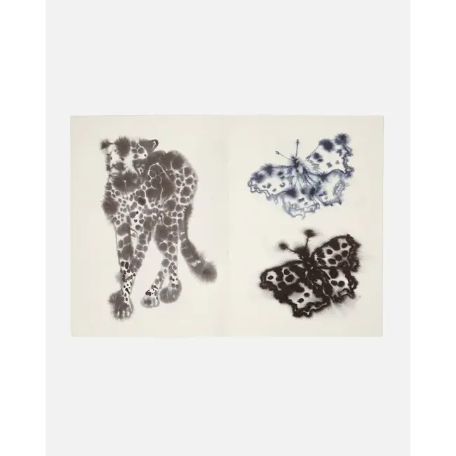 Wild Animals Colouring Book