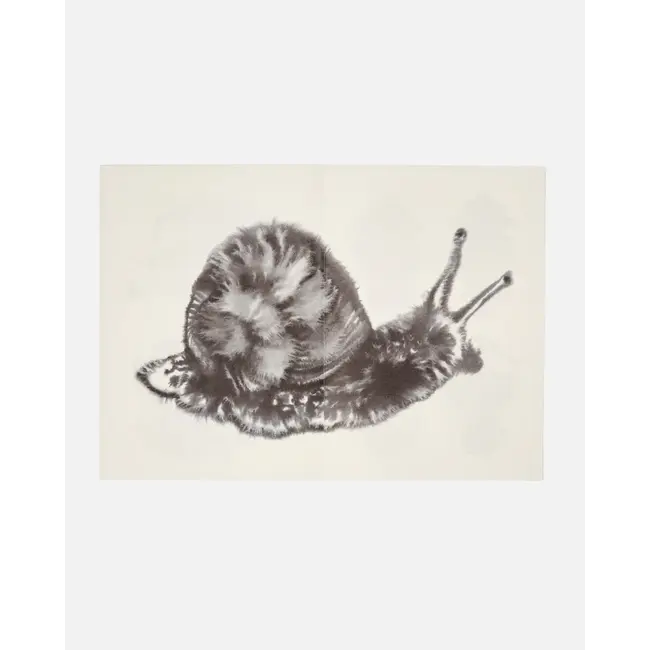 Wild Animals Colouring Book