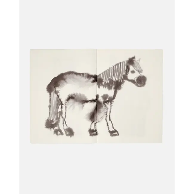 Wild Animals Colouring Book