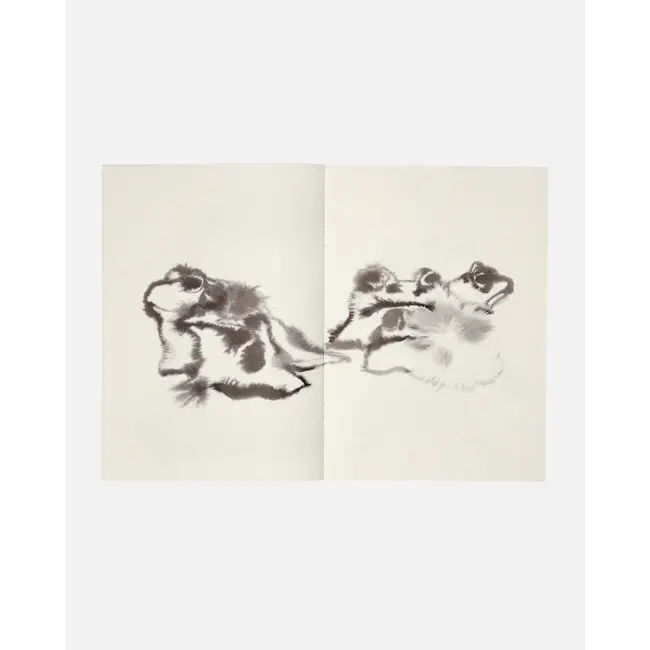 Wild Animals Colouring Book