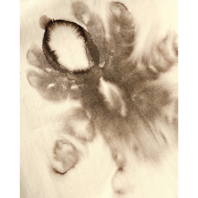 Wild Animals Butterfly Tarantula Totebag