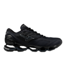 Mizuno Wave prophecy LS