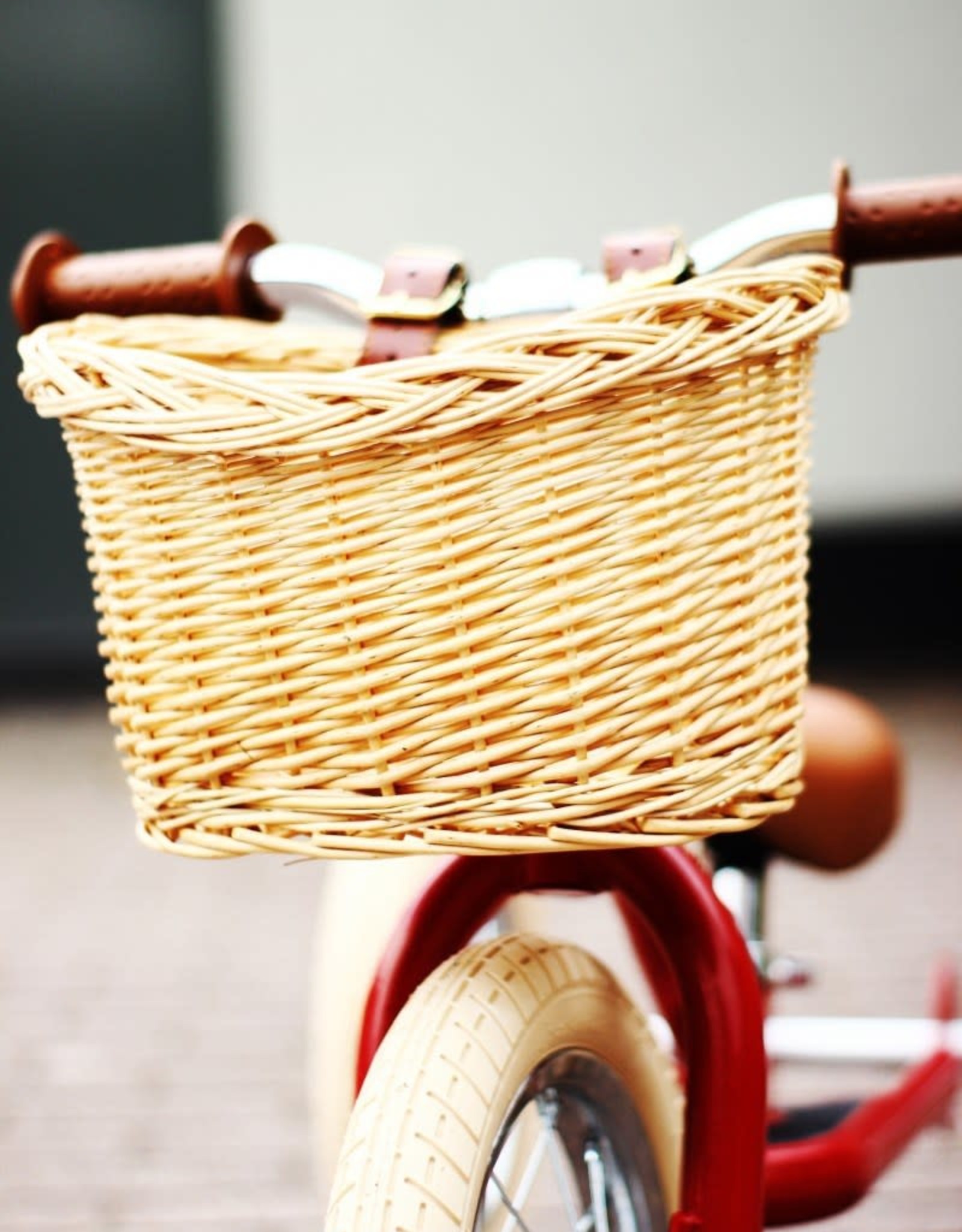 Trybike Fietsmandje Trybike Steel