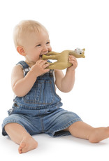 Vulli Al'Thir de Dromedaris Vulli Al'Thir de Dromedaris