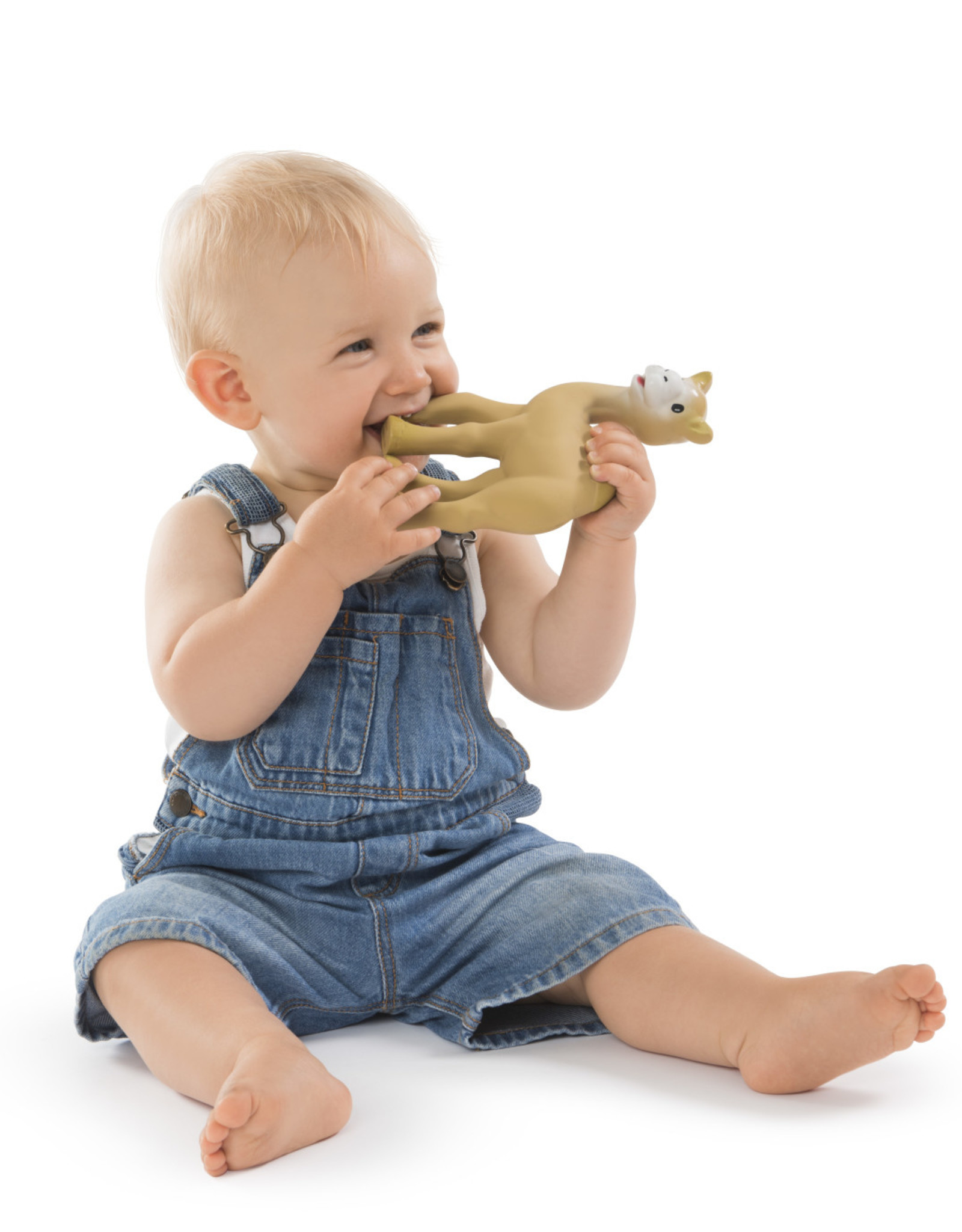 Vulli Al'Thir de Dromedaris