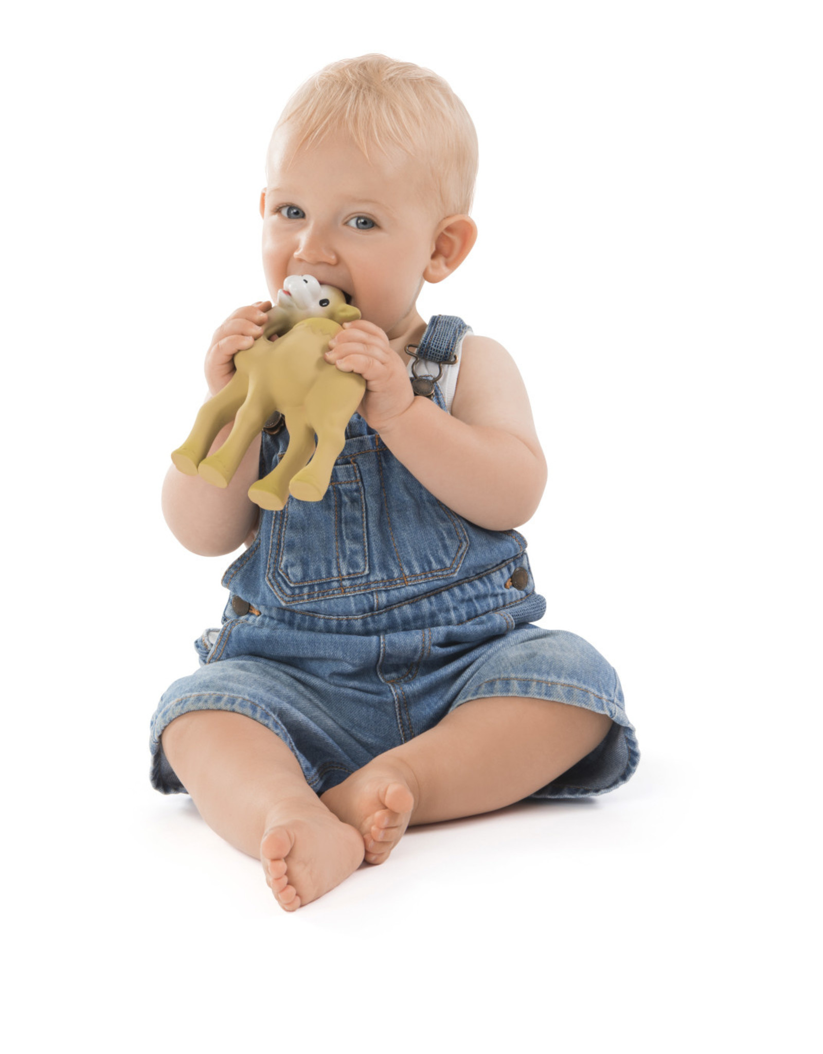 Vulli Al'Thir de Dromedaris