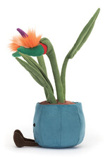 Jellycat Amuseable Bird of Paradise