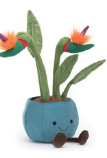 Jellycat Amuseable Bird of Paradise