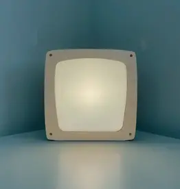 Houtlokael Seizoenslamp Maple