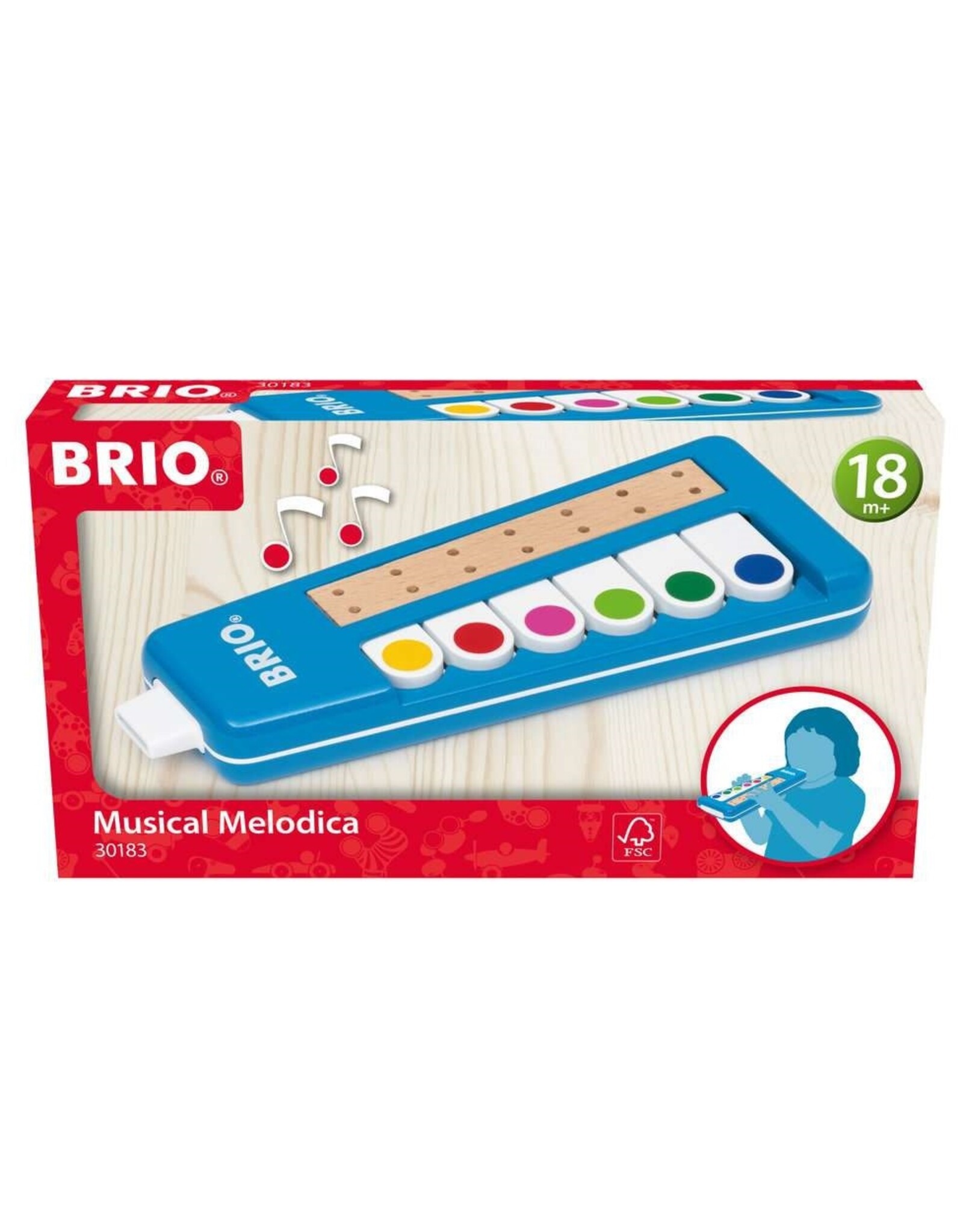 Brio Musical Melodica