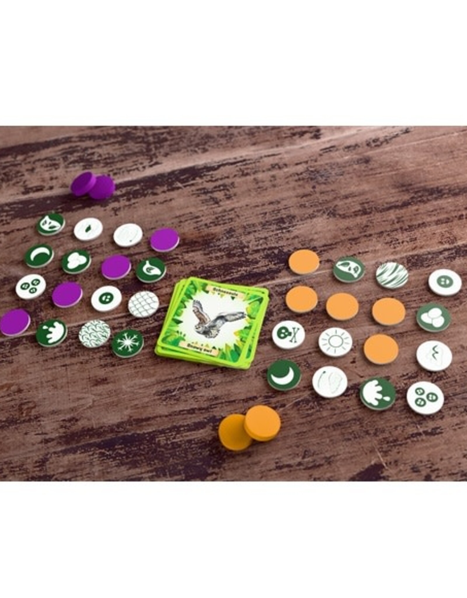 HABA Dieren van de wereld Bingo