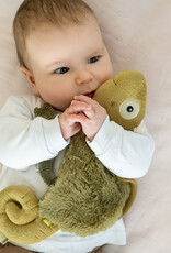 Fehn Knuffeldoek Kameleon Crazy