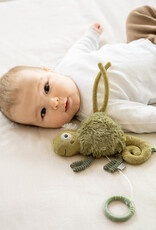 Fehn Muziekknuffel Kameleon Crazy
