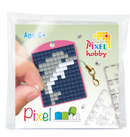 Pixelhobby Medaillon startset Dolfijn