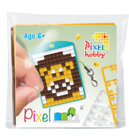 Pixelhobby Medaillon startset leeuw