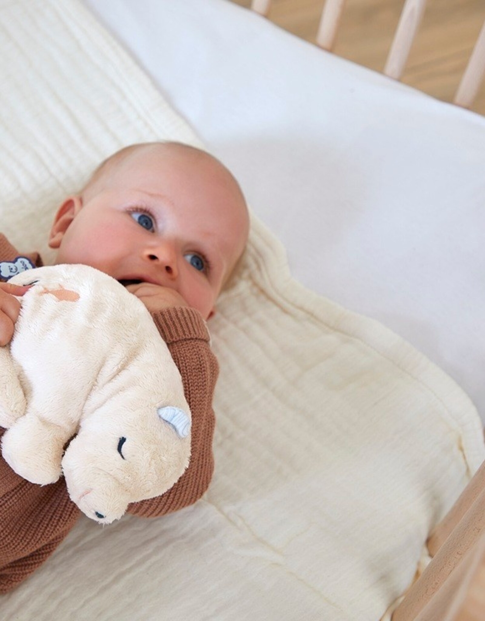 Kaloo Warmteknuffel ijsbeer