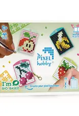 Pixelhobby Medaillon Thema Box Fruit