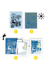 Djeco Cyanotypie - Bij maanlicht Djeco Cyanotypie - Bij maanlicht