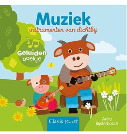Clavis Muziekinstrumenten van dichtbij