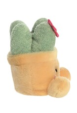 Aurora Palm Pals Vetplant