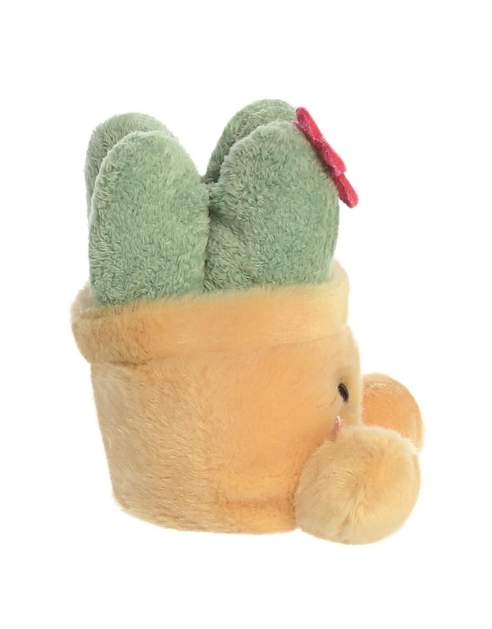 Aurora Palm Pals Vetplant