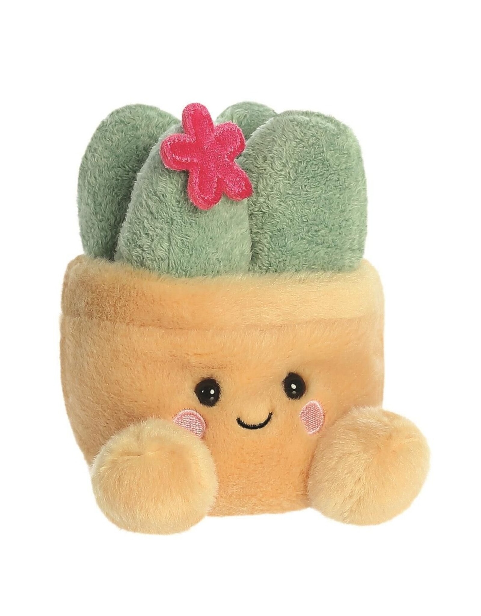 Aurora Palm Pals Vetplant