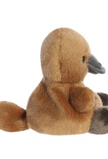 Aurora Palm Pals Vogelbekdier