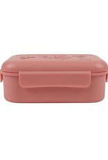 Trixie Lunchbox Fruit fairy  Mrs. Butterfly