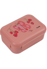 Trixie Lunchbox Fruit fairy  Mrs. Butterfly