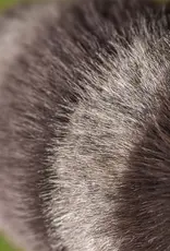 Jellycat Trixiwoo Raccoon
