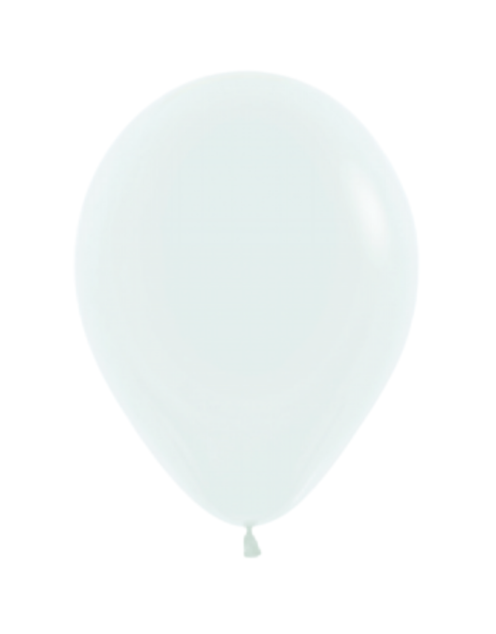 Little Botanic Label Ballonnen voor sensorische ballonbal 12st.
