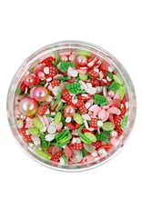 Invitation to Imagine Sprinkles Fairy Garden