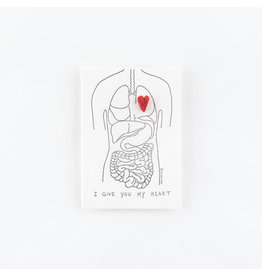 Studio Flash Pin - Anatomy
