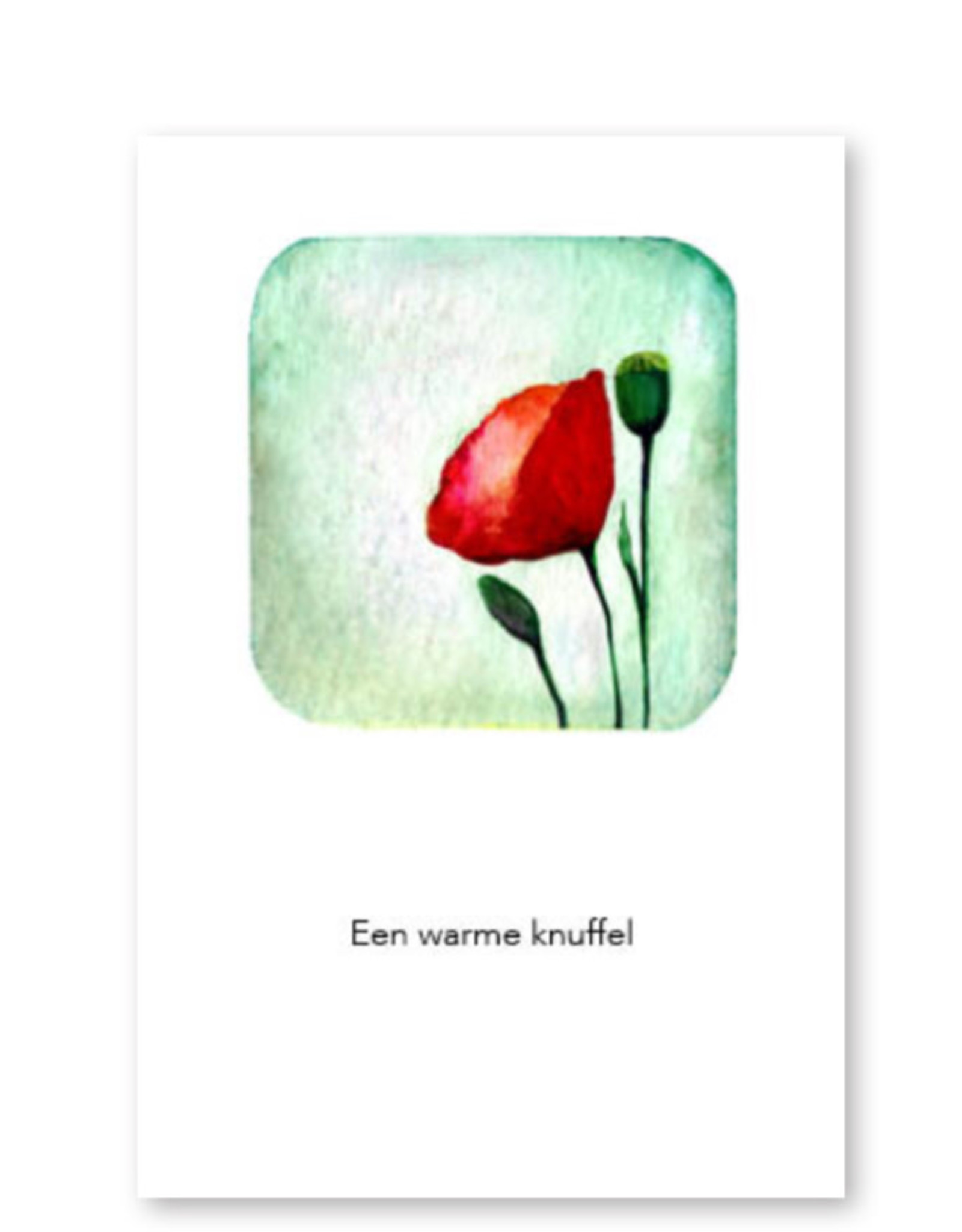 Lieve Claesen Wenskaart - Klaproos, Een warme knuffel - Postkaart + Envelop