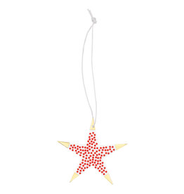 Raeder Lucky Star S - Rood met Gouden punten - 8 x 8 cm