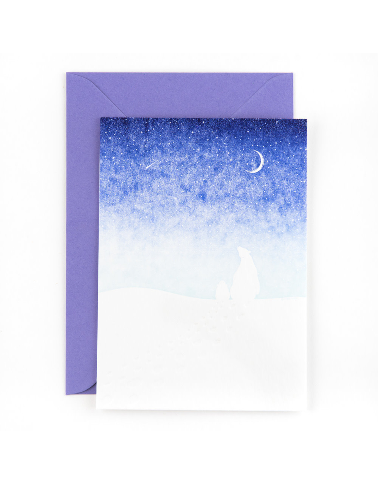 Studio Flash Wenskaart - Polar Bear - Postkaart + Envelop