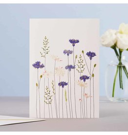 Eloise Hall Wenskaart - Cornflowers & Daisies  - Dubbele Kaart + Envelop