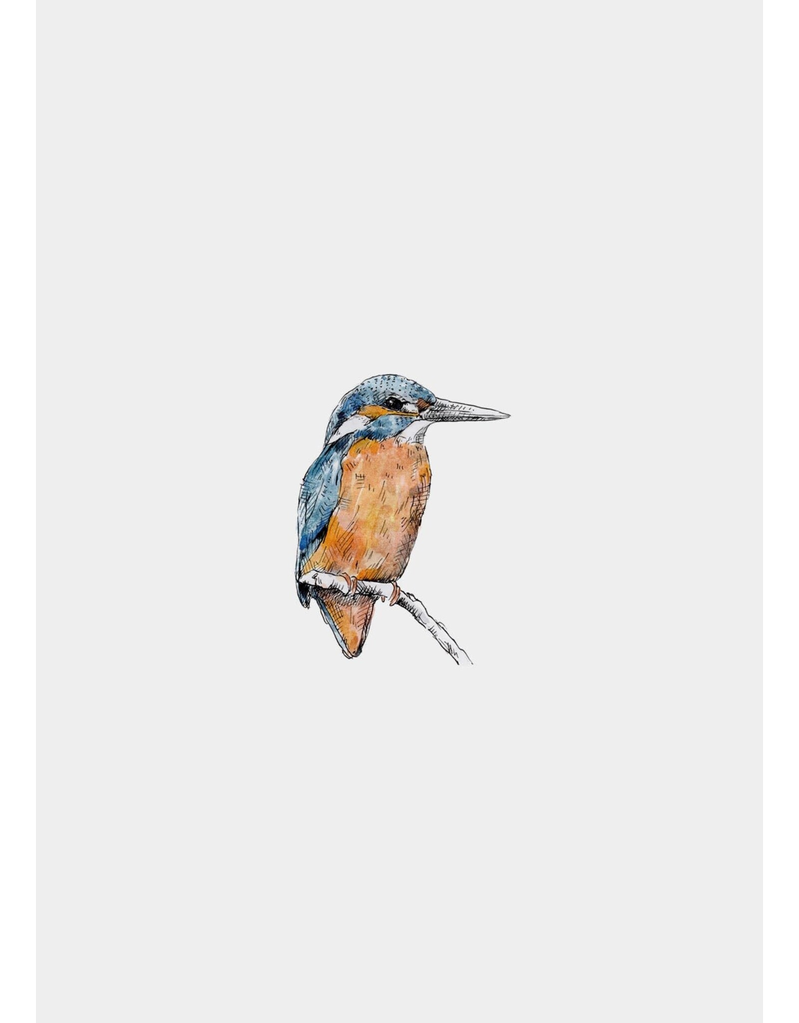 Inkylines Muursticker - Ijsvogel