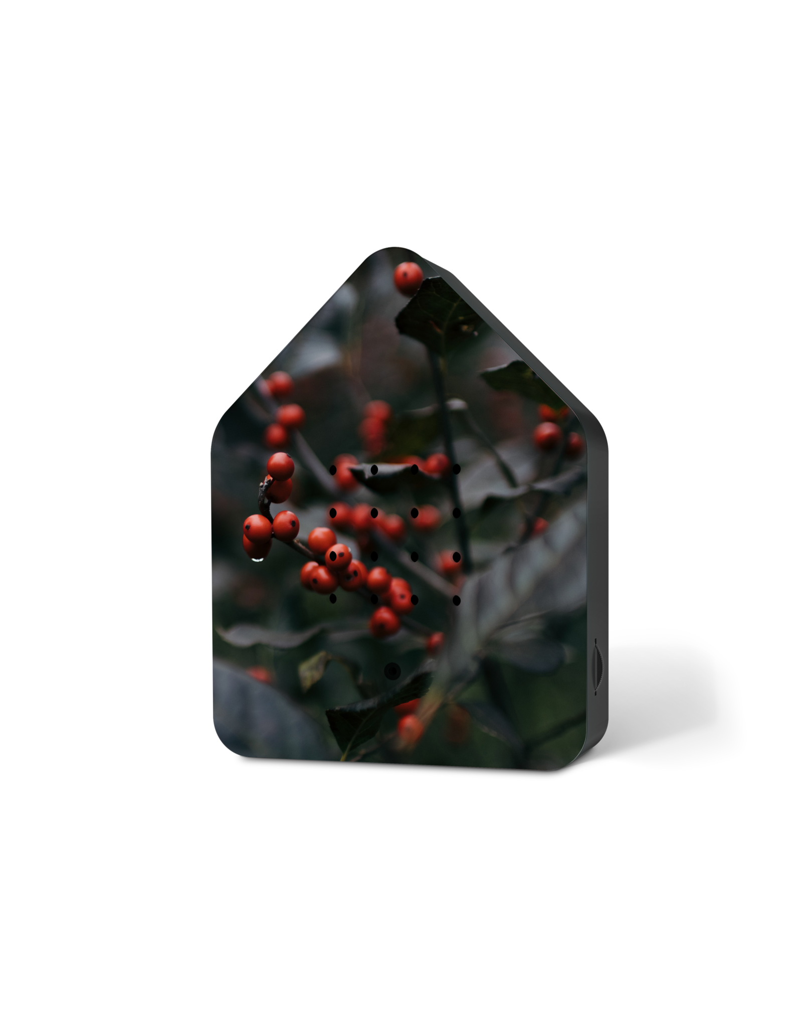 Zwitscherbox Zwitscherbox Merry Berries - Geluiden: Merel  - B 11 x H 14,5 x D 3,5 cm