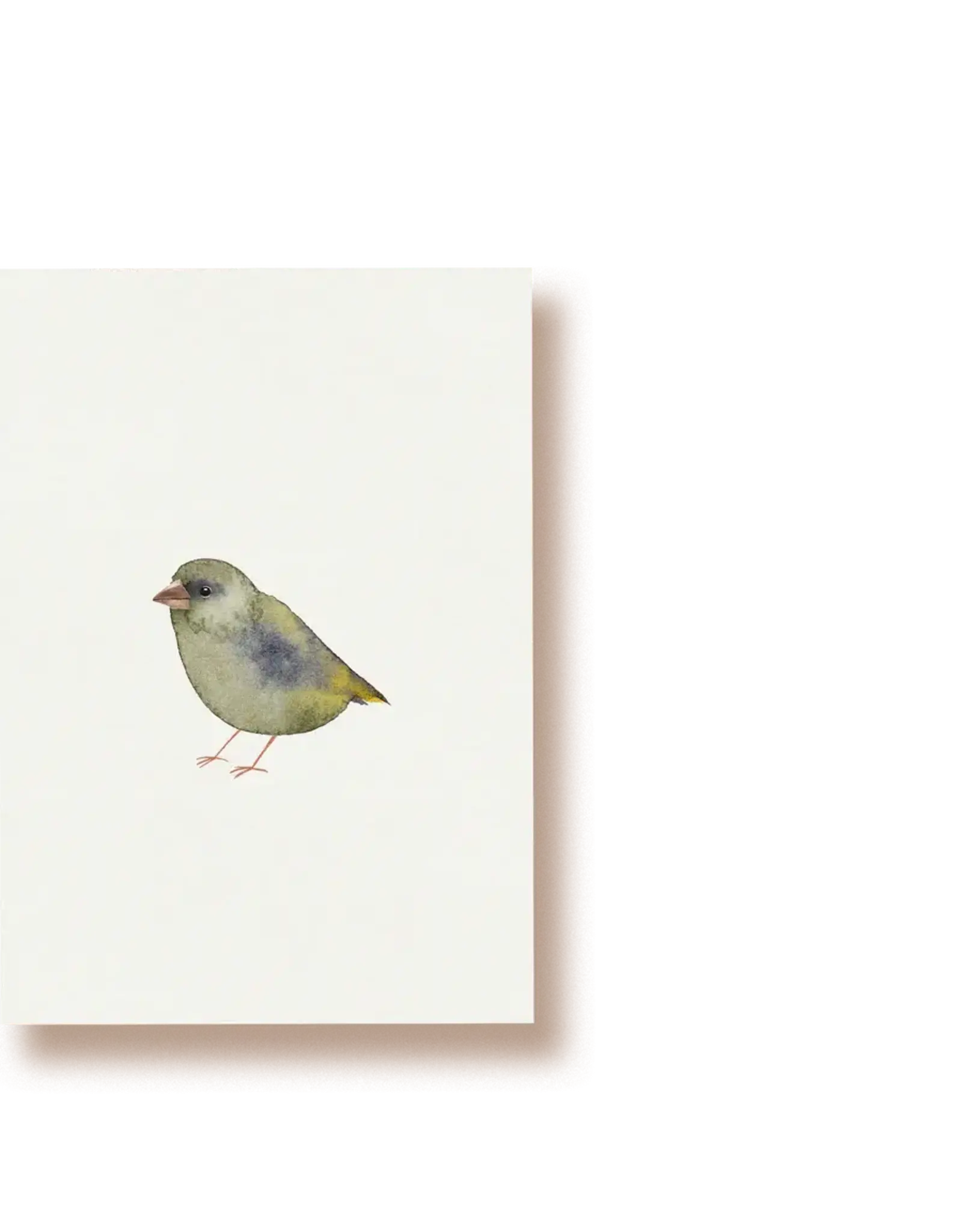 Tucán y limón Wenskaart - Groene vink - Postkaart + Envelop