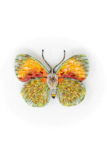 Trovelore Broche - Provencal Hairstreak Butterfly - 5,5 x 7,3 cm